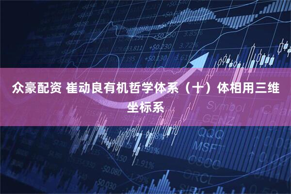 众豪配资 崔动良有机哲学体系（十）体相用三维坐标系