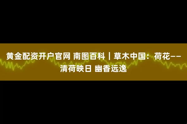 黄金配资开户官网 南图百科｜草木中国：荷花——清荷映日 幽香远逸